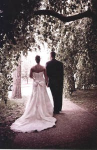 Wedding photo under a tree at Springfield College, ca. 2000
