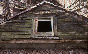 East facade of the Buxton Farms spring house roof hit by fallen trees.