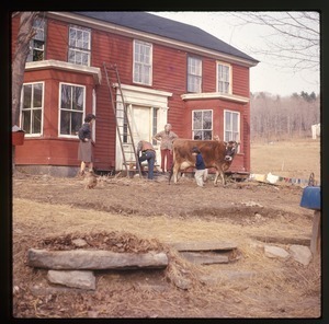 Nina Keller, her mother, and others, with a milk cow in front of the house, Montague Farm Commune