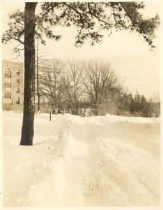 Wintry scene of Springfield College campus and Alumni Hall