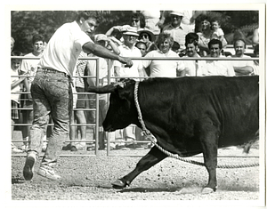 Luis Naves is chased by mad bull