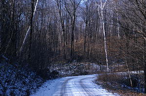 Carriage Road heading west near large culvert where road makes an S-turn.