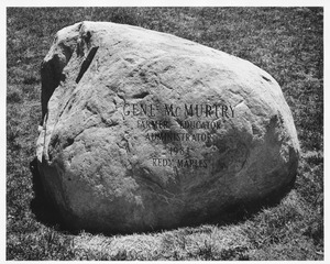 Memorial Stones and Plagues