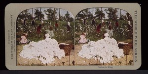 Cotton Cloth Production
