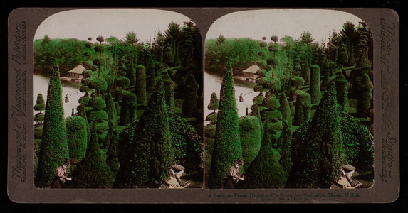 Stereograph, a poem in trees, Hunnewell's grounds, Hunnewell Estate, Wellesley, Mass.