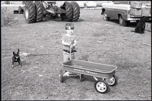 Boy with pull-behind wagon and little dog