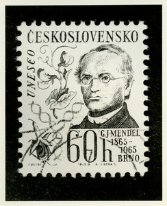 Mendel on Czech stamp