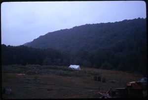 Field near Johnson Pasture Commune