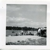 Spy Pond fish stocking