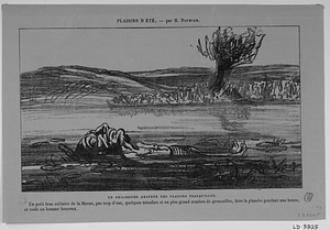 Un PHILOSOPHE AMATEUR DES PLAISIRS TRANQUILLES. Un petit bras solitaire de la Marne, pas trop d'eau, quelques nénuphars et un grand nombre de grenouilles, faire la planche pendant une heure, et voilà un homme heureux.