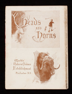 Heads and horns, Ward's Natural Science Establishment, Rochester, New York