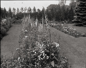 Flower gardens at Richard Milton estate