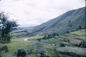 Road in rural Nepal