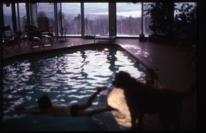 Two children and dog swimming in pool