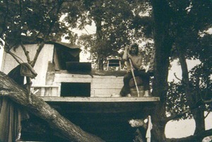 Treehouse, first home of the Brotherhood of the Spirit