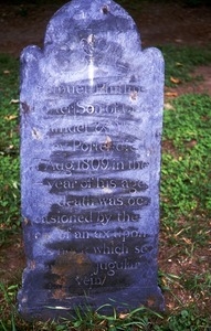 Hadley (Mass.) gravestone: Porter, Samuel Phillips (d. 1809)