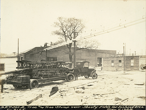 Dorchester Rapid Transit section 2. Tree and tree stump near shanty - Fields Corner enclosed area