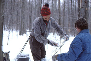 David P. Dethier and Rachel Hopkins (Environmental Analysis Lab Tech.) sampling twigs for chemical analysis. 1