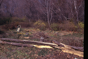 Buxton Garden restoration with split-rail fence.