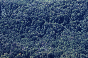 Aerial color image of face of Northwest Hill adjacent to Hoosic River. False Color Infrared/True Color Project.
