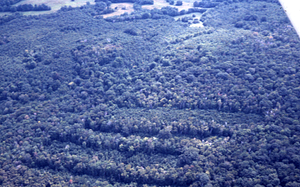 Aerial oblique middle-distance view to the east of the Birch Strips in Moon Hollow on 2 Sept 1971.
