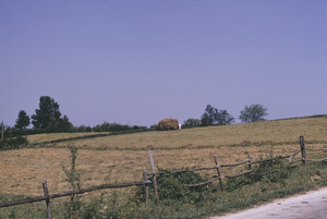 Fields of Orašac