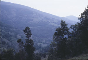 Mountains of Poreče