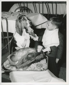 Young client feeding turkey to dog