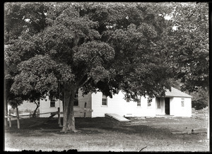 House among shade trees (Greenwich, Mass.)