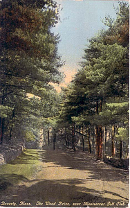 The wood drive near Montserrat Golf Club, Beverly, Mass.