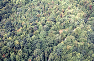 Aerial oblique middle-distance view to the west of the Upper Loop Trail Plot 0928 on 2 Sept 1971.