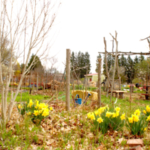 Sitting area at the community gardens