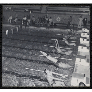 Boys start a backstroke race in a natorium