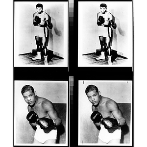 Four photographs of two boxers