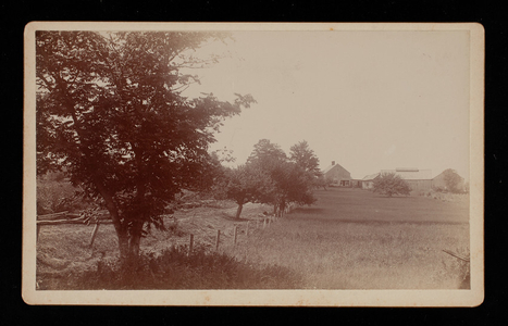 "Old Homestead," from the Brook, Northfield, Mass.