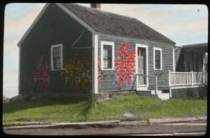 Rockport: foundation plantings painted on house