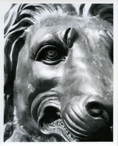 Lion statue up close