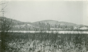 Forestry and Wildlife Management - Mt. Toby Forest