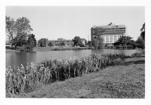 Pond, Campus