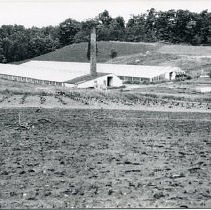 Crosby Farm: Two Greenhouses and Wood Lot