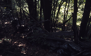 Eastern boundary stone wall with wooden fence of Moon Lot / Primmer Farm.