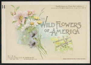 Wild flowers of America : flowers of every state in the American Union. Vol. 1., No. 14