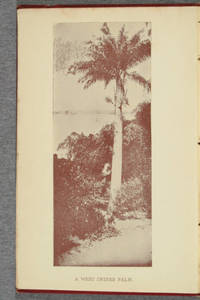 [Halftones of photographs in A snap-shot in the West Indies]