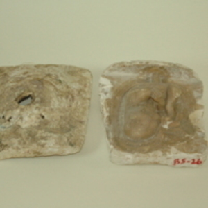 Dickinson-Belskie mold of fetus in uterus, 1939-1950