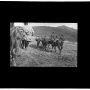 Wounded carried by horses and on stretchers