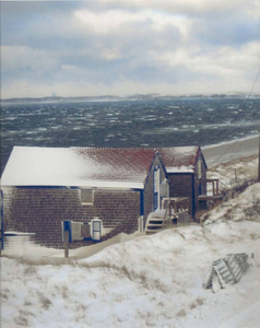 Cold Storage Beach, Winter, 1995