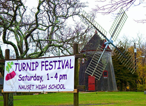 Turnip Festival banner 2015