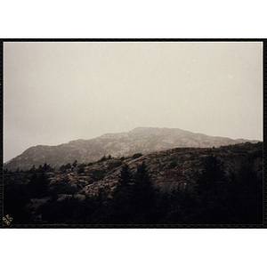 A hiker goes up a mountain in the White Mountain National Forest