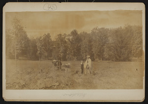 Woman and boy standing in a field, Winchester, Mass., undated