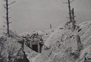 View of entrance to a dugout and damaged trees, Champagne